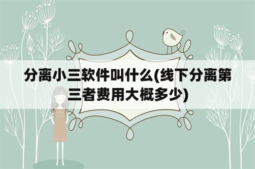 分离小三软件叫什么(线下分离第三者费用大概多少)