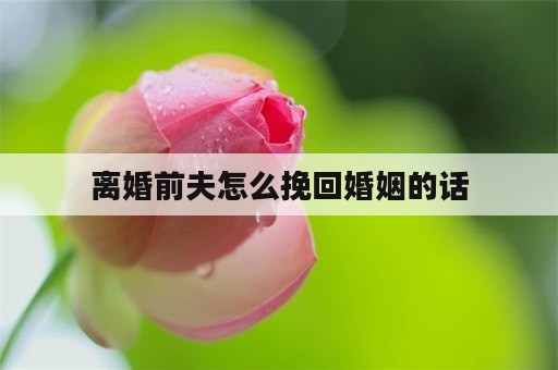 离婚前夫怎么挽回婚姻的话