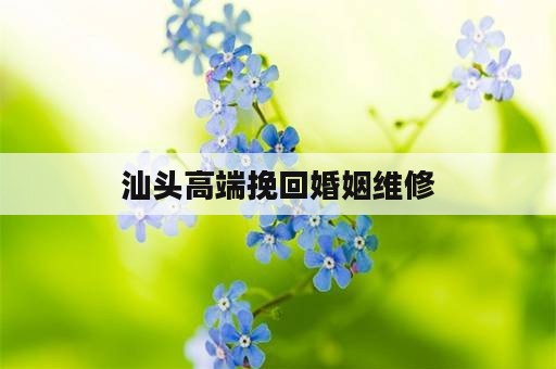 汕头高端挽回婚姻维修