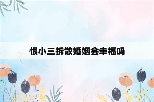 恨小三拆散婚姻会幸福吗