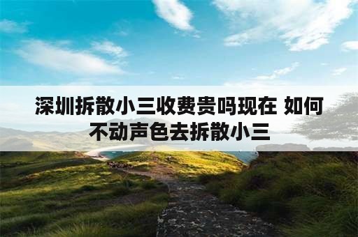 深圳拆散小三收费贵吗现在 如何不动声色去拆散小三