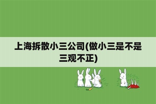 上海拆散小三公司(做小三是不是三观不正)