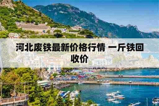 河北废铁最新价格行情 一斤铁回收价