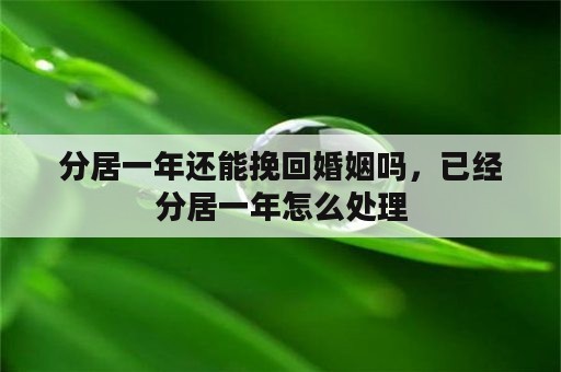 分居一年还能挽回婚姻吗，已经分居一年怎么处理