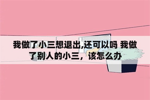 我做了小三想退出,还可以吗 我做了别人的小三，该怎么办