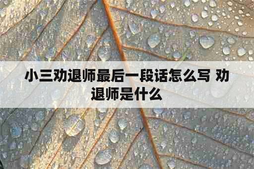 小三劝退师最后一段话怎么写 劝退师是什么