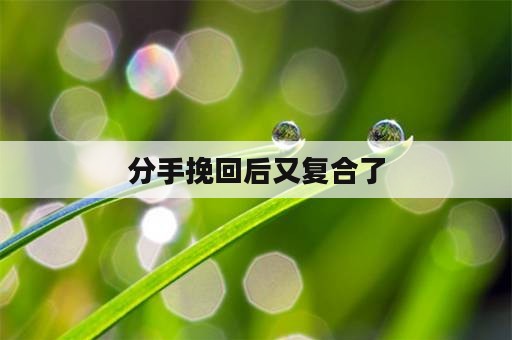 分手挽回后又复合了