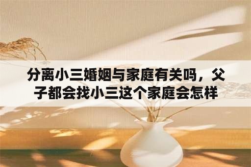 分离小三婚姻与家庭有关吗，父子都会找小三这个家庭会怎样