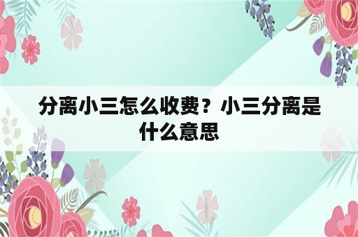 分离小三怎么收费？小三分离是什么意思