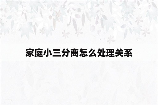 家庭小三分离怎么处理关系