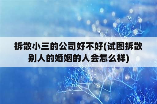 拆散小三的公司好不好(试图拆散别人的婚姻的人会怎么样)