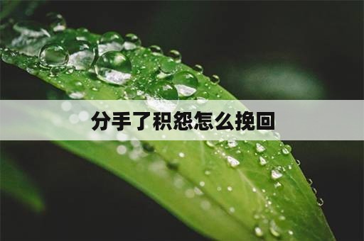 分手了积怨怎么挽回