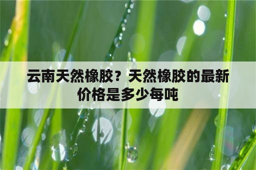 云南天然橡胶？天然橡胶的最新价格是多少每吨