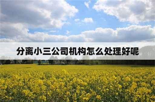 分离小三公司机构怎么处理好呢