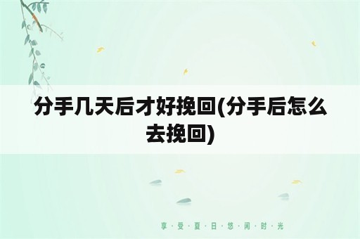 分手几天后才好挽回(分手后怎么去挽回)