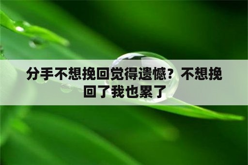 分手不想挽回觉得遗憾？不想挽回了我也累了