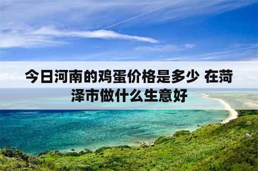 今日河南的鸡蛋价格是多少 在菏泽市做什么生意好