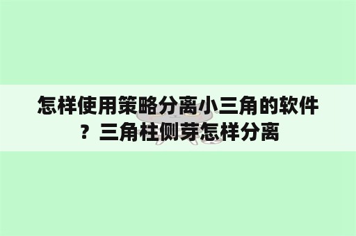 怎样使用策略分离小三角的软件？三角柱侧芽怎样分离