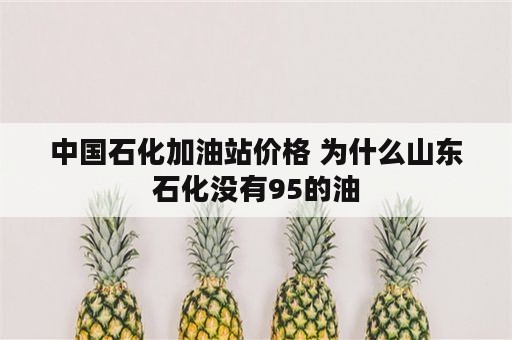 中国石化加油站价格 为什么山东石化没有95的油