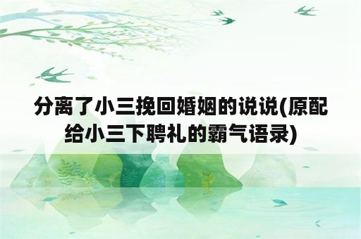 分离了小三挽回婚姻的说说(原配给小三下聘礼的霸气语录)