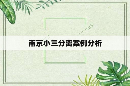 南京小三分离案例分析