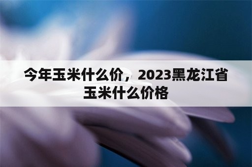 今年玉米什么价，2023黑龙江省玉米什么价格