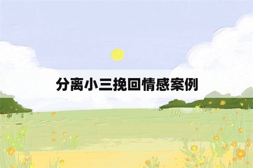 分离小三挽回情感案例