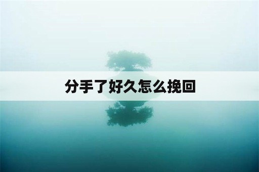 分手了好久怎么挽回