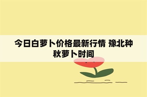 今日白萝卜价格最新行情 豫北种秋萝卜时间