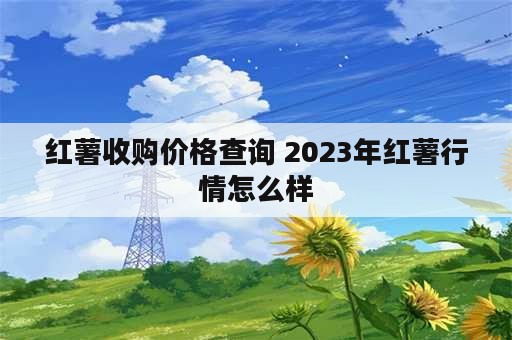 红薯收购价格查询 2023年红薯行情怎么样