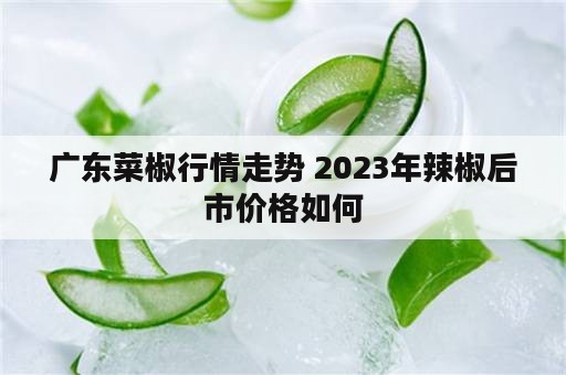 广东菜椒行情走势 2023年辣椒后市价格如何