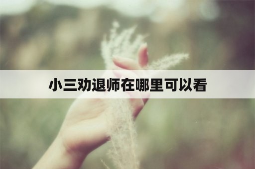 小三劝退师在哪里可以看