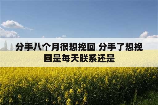 分手八个月很想挽回 分手了想挽回是每天联系还是