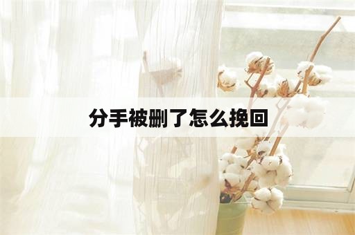 分手被删了怎么挽回