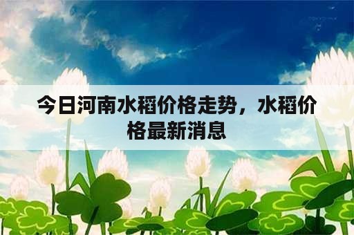 今日河南水稻价格走势，水稻价格最新消息