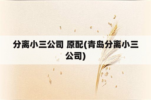 分离小三公司 原配(青岛分离小三公司)