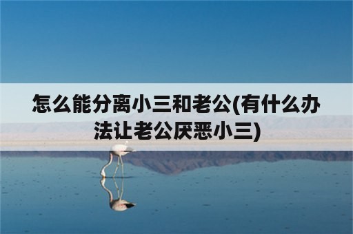 怎么能分离小三和老公(有什么办法让老公厌恶小三)