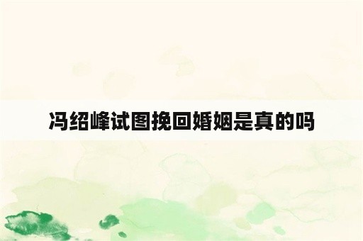 冯绍峰试图挽回婚姻是真的吗