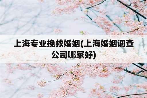 上海专业挽救婚姻(上海婚姻调查公司哪家好)