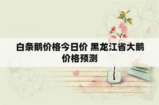 白条鹅价格今日价 黑龙江省大鹅价格预测