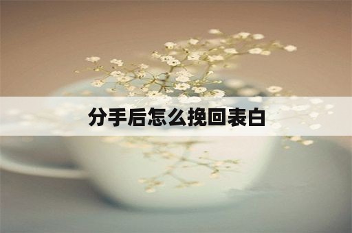 分手后怎么挽回表白