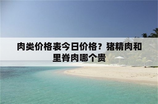 肉类价格表今日价格？猪精肉和里脊肉哪个贵