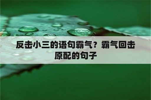 反击小三的语句霸气？霸气回击原配的句子