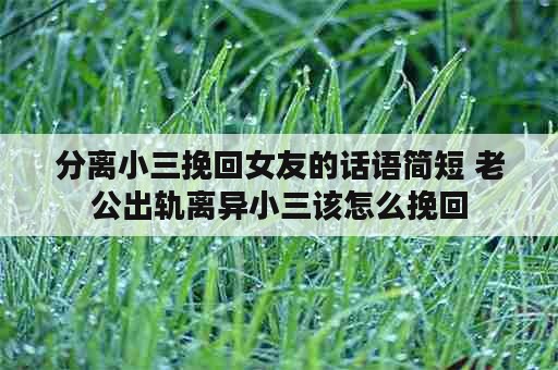 分离小三挽回女友的话语简短 老公出轨离异小三该怎么挽回