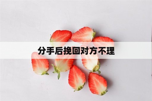 分手后挽回对方不理