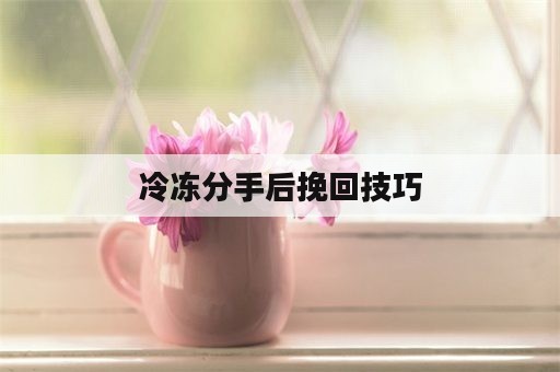 冷冻分手后挽回技巧