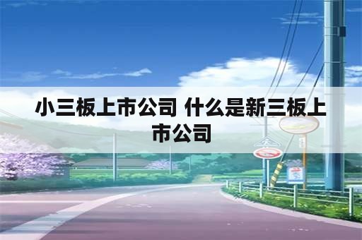 小三板上市公司 什么是新三板上市公司