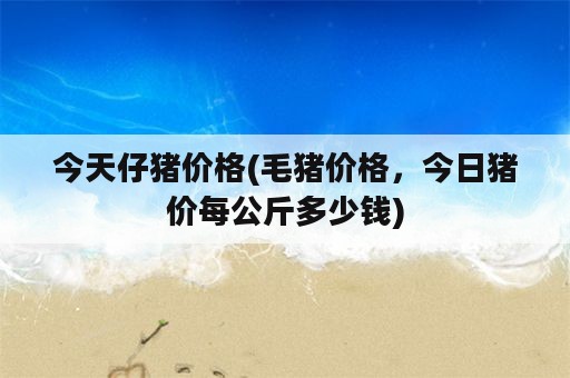 今天仔猪价格(毛猪价格，今日猪价每公斤多少钱)