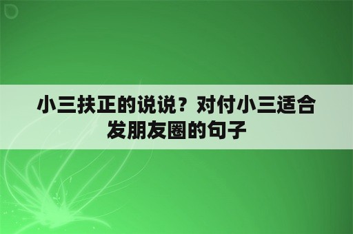 小三扶正的说说？对付小三适合发朋友圈的句子