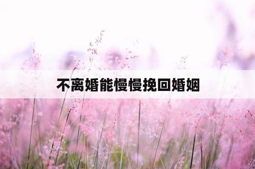 不离婚能慢慢挽回婚姻